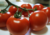 comprar sementes de tomate holandês, semente de tomate adocicado, semente de tomate gourmet, sementes de tomate de salada, comprar sementes de tomate para salada, comprar sementes de tomate exótico, comprar sementes de tomates, semente de tomate holandês