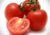 Comprar sementes de tomate em promoção, comprar semente de tomate, comprar semente de tomate diferente,  plantar sementes de tomates, plantar sementes de tomate no vaso, plantar tomate na horta, plantar sementes de tomate no quintal, comprar sementes de t