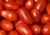 semente de tomate saladete, semente de tomate italiano roma, semente de tomate italiano roma, semente de tomate roma, sementes de tomate de salada, semente de tomate para molho, semente de tomate doce, sementes de tomate italiano