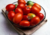 semente de tomate saladete, semente de tomate italiano roma, semente de tomate italiano roma, semente de tomate roma, sementes de tomate de salada, semente de tomate para molho, semente de tomate doce, sementes de tomate italiano