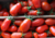 Comprar sementes de tomate em promoção, comprar semente de tomate, comprar semente de tomate diferente,  plantar sementes de tomates, plantar sementes de tomate no vaso, plantar tomate na horta, plantar sementes de tomate no quintal, comprar sementes de t