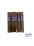 INKA SPORT SHORT FILLER X 5