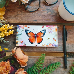 Caderninho | Borboleta - modelo 01 - comprar online