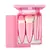 Kit Mini Pinceis de Maquiagem com Espelho Rosa
