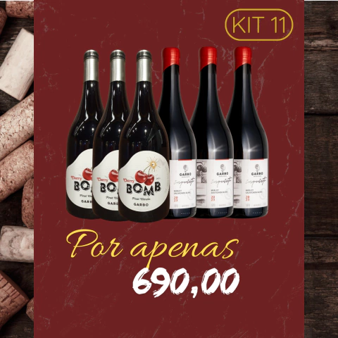 COMBO 6 VINHOS TINTO VERÃO GARBO