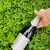 ESPUMANTE BRANCO MOSCATEL NATURELLE CASA VALDUGA - comprar online