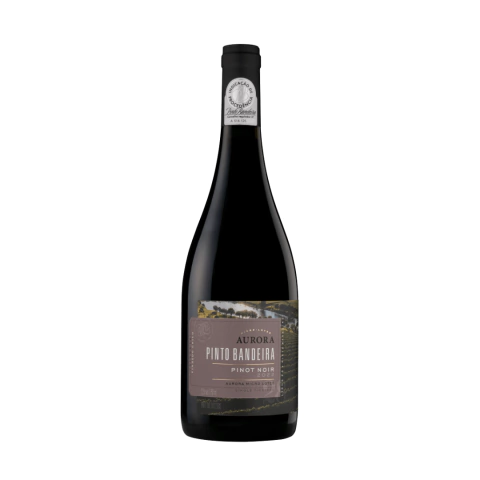 VINHO TINTO SECO PINOT NOIR PINTO BANDEIRA AURORA