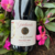 VINHO TINTO SECO PINOT NOIR GRADEVOLE DOM BERNARDO - comprar online