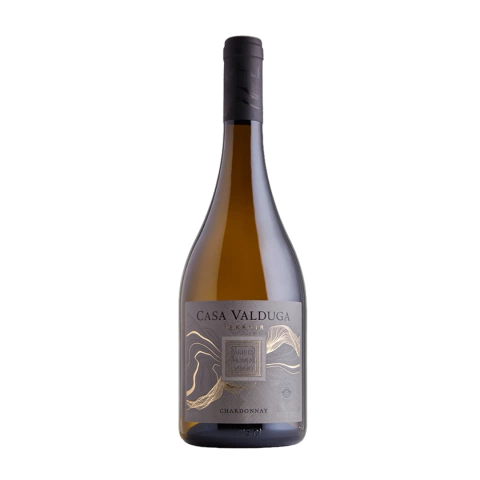 VINHO BRANCO SECO CHARDONNAY TERROIR CASA VALDUGA