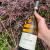 VINHO BRANCO SECO GEWURZTRAMINER ZANOTTO CAMPESTRE - comprar online