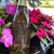 ESPUMANTE BRUT BRANCO BLANC DE NOIR BELLAVISTA DESIRÉE BUENO - comprar online
