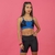 Lupines top