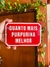 Quanto mais purpurina melhor - comprar online