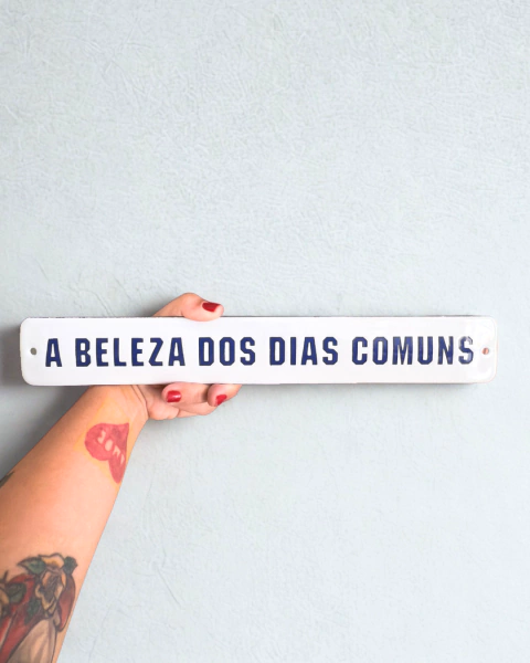 A beleza dos dias comuns - comprar online