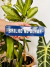 Brilho no olhar - comprar online