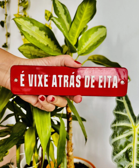 É vixe atras de eita - comprar online