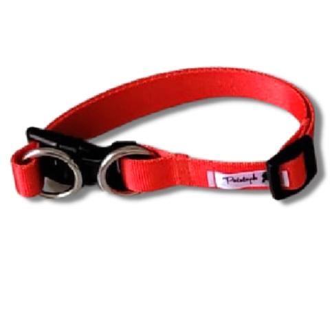 Coleira Vermelha