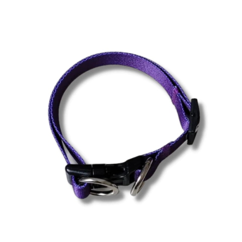 Coleira Roxa