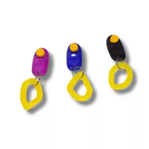Clicker Adestramento