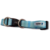 Coleira Azul Pastel - comprar online