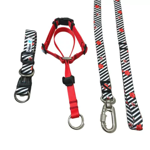 Kit Super Premium Cabresto - Jasmim