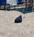 Imagen de Toldo Grande 4 parantes
