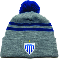 Gorro AFC 2025 - Gris - comprar online
