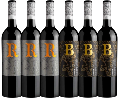 Kit Vinho Argentino - Best Blend - Vivino 4.1 e 4.0 - Bodega Goulart