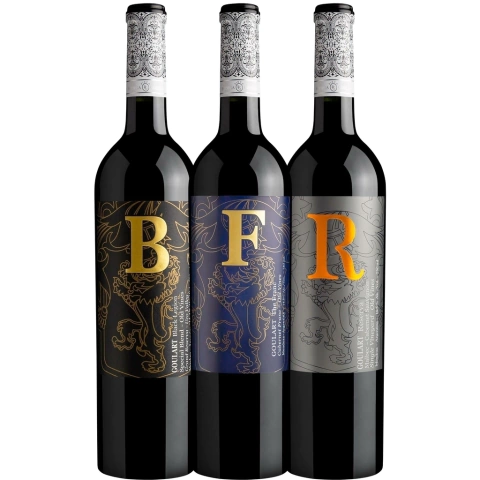 Kit Vinho Argentino - Super Premiados - Bodega Goulart