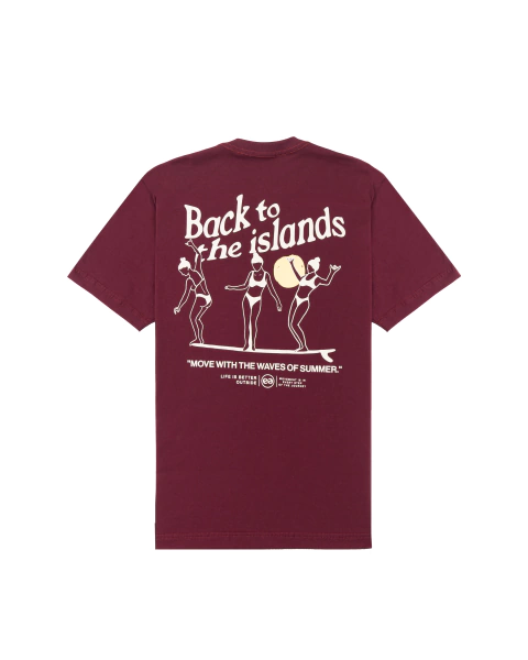 T-shirt Triplets Vinho - comprar online