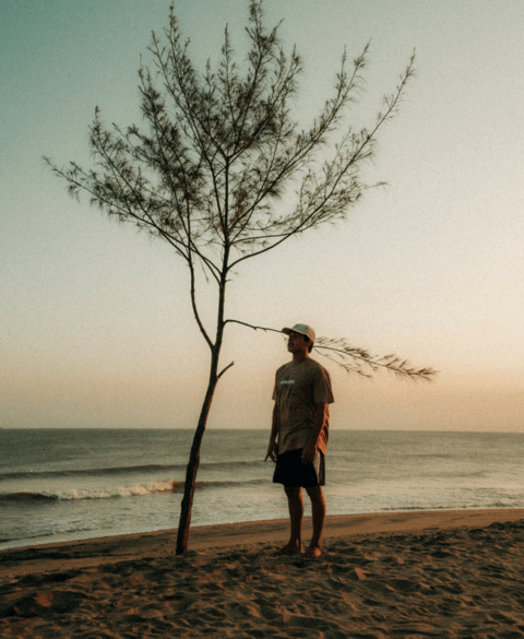 Carrusel Seads | Loja Online Surfwear Lifestyle | Oficial