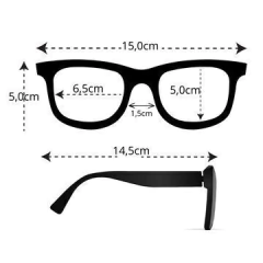 ÓCULOS ARMAÇÃO 29 na internet