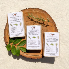 Trio Refrescante - Xampu & Sabonete