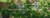 Imagem do banner rotativo Saracura da Mata