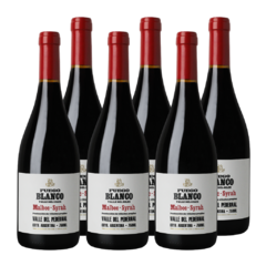 Fuego Blanco Valle del Silex Malbec Syrah 6x750ml