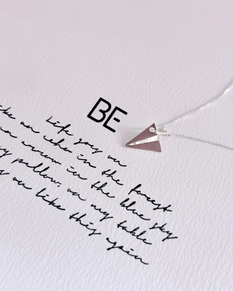 Colar Fly to my room