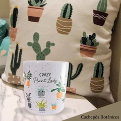 Cachepot Botânicos Jardim Cachepôs Vasos Cerâmica Decorativos Plantas Suculentas - loja online