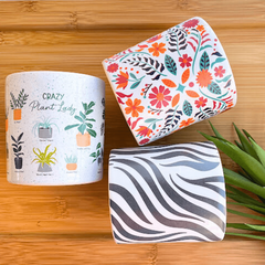 Cachepot Porta Pincel Maquiagem Zebra Cachepôs Vasos Animal Print Cerâmica Plantas Suculenta Grafite - loja online