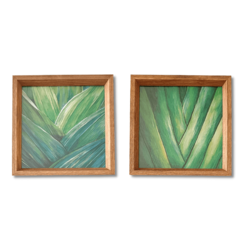 Quadros Folhagens Arvore do Viajante Verde Sala Mosaico Com Vidro - loja online