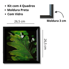 Quadros Folhas Plantas Verde Moldura Preta Sala Sacada - loja online