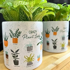 Cachepot Botânicos Jardim Cachepôs Vasos Cerâmica Decorativos Plantas Suculentas na internet