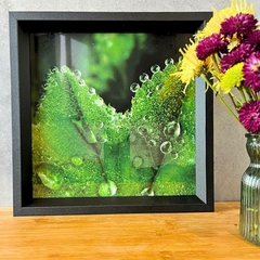 Quadros Folhas Plantas Verde Moldura Preta Sala Sacada - comprar online