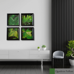 Quadros Folhas Plantas Verde Moldura Preta Sala Sacada na internet