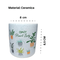Cachepot Botânicos Jardim Cachepôs Vasos Cerâmica Decorativos Plantas Suculentas