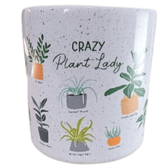 Imagem do Cachepot Botânicos Jardim Cachepôs Vasos Cerâmica Decorativos Plantas Suculentas