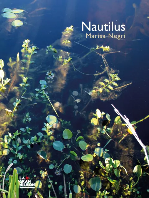 Nautilus, Marisa Negri