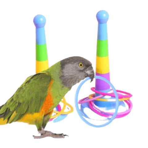 Brinquedo Interativo Cone com Argolas