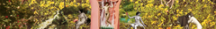 Banner da categoria Arte