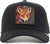 Gorra Goorin Bros Fox Black zorro 101-0528