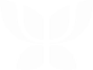 Seele Indumentaria